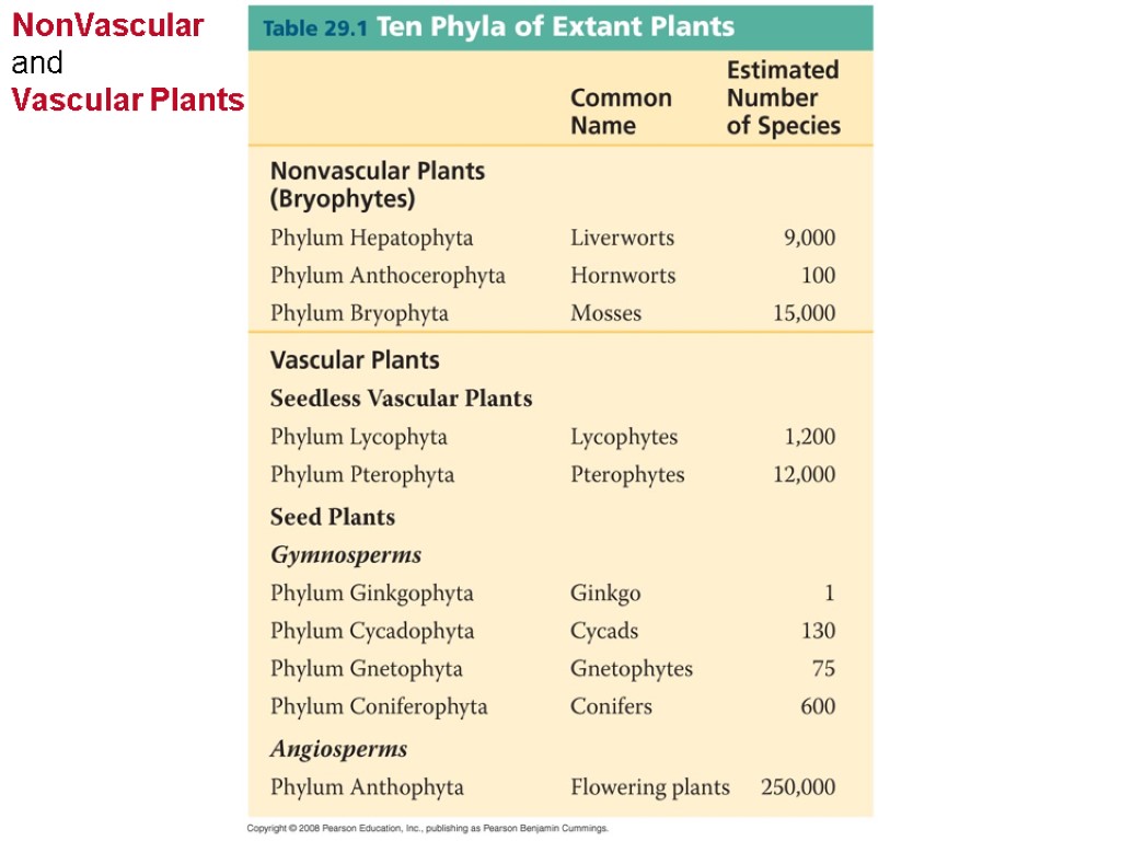 NonVascular and Vascular Plants